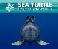 Sea Turtle Restoration Project  logo